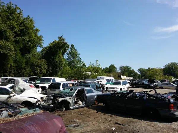 LaPollo's Auto Parts - photo 4