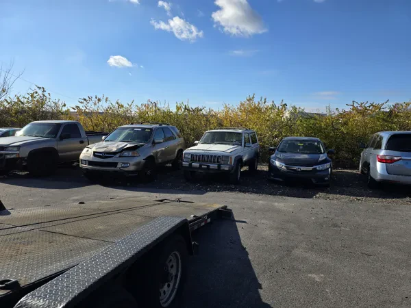 Carriage Trade Public Auto Auction - photo 4