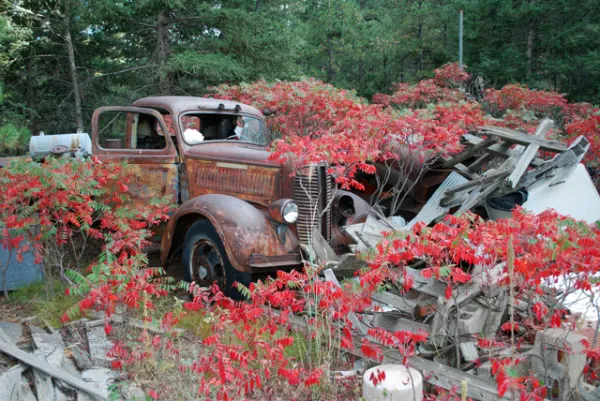 Bonnie's Car Crushers - photo 2