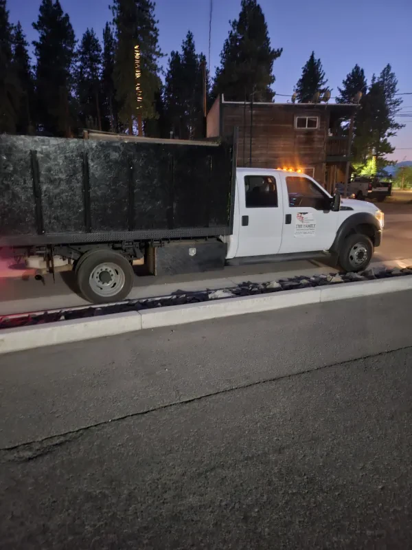 Family Yard Cleanup & Hauling - photo 2