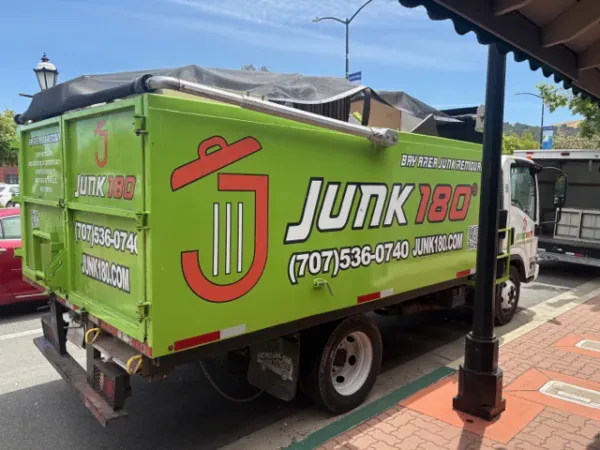 JUNK180 - photo 2