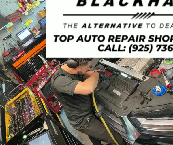 autoTECH Blackhawk - photo 3