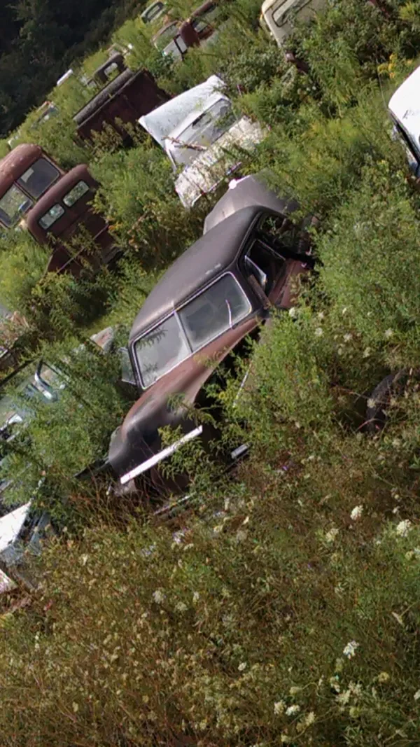 Manthey Salvage - photo 4