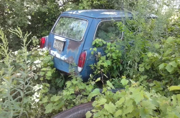 Ray's Salvage & Repair auto wrckng - photo 3