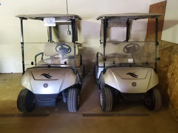 Oxford Golf Cars - photo 2