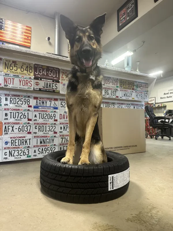 Ross Auto Service - photo 2