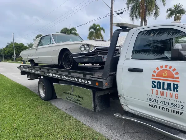 High Solar Towing (Branch) - photo 3