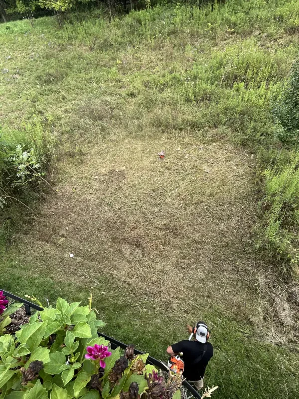 TJM Junk Removal - photo 4