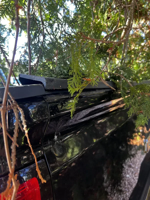 Diamondback Towing - photo 2