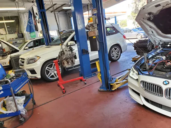 Longwood Auto Fix - photo 2