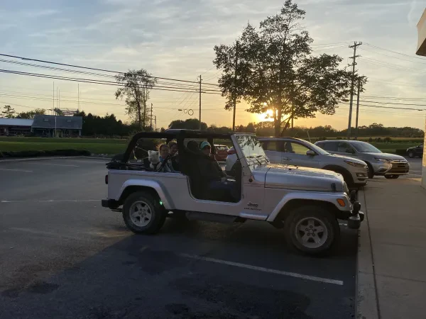 Mussers auto - photo 2