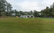CATT'S COLLISION AND CUSTOMS