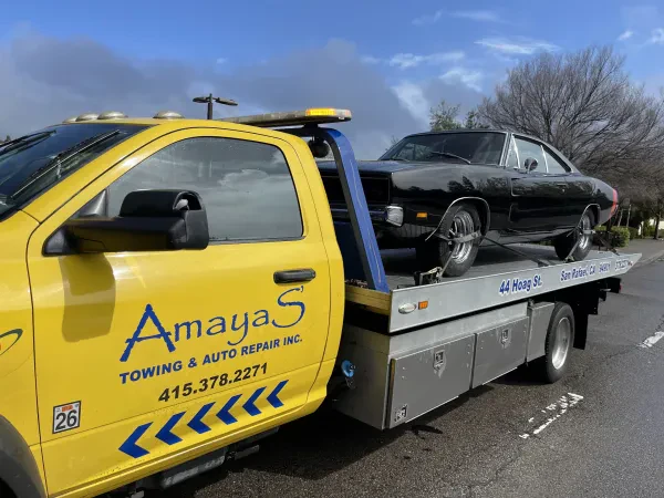 Amayas Towing - photo 3