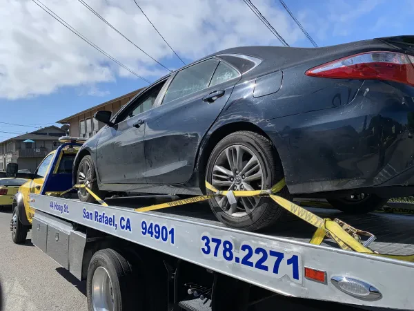 Amayas Towing - photo 4