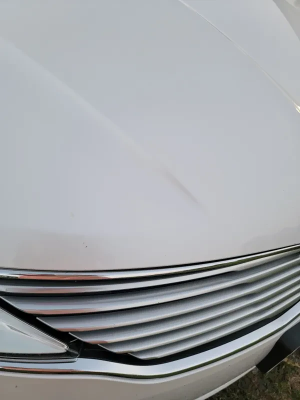 Bill's Body Shop - photo 3