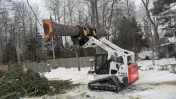 A Good Deal Tree Services By George