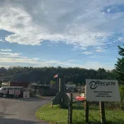 Recycle Management LLC