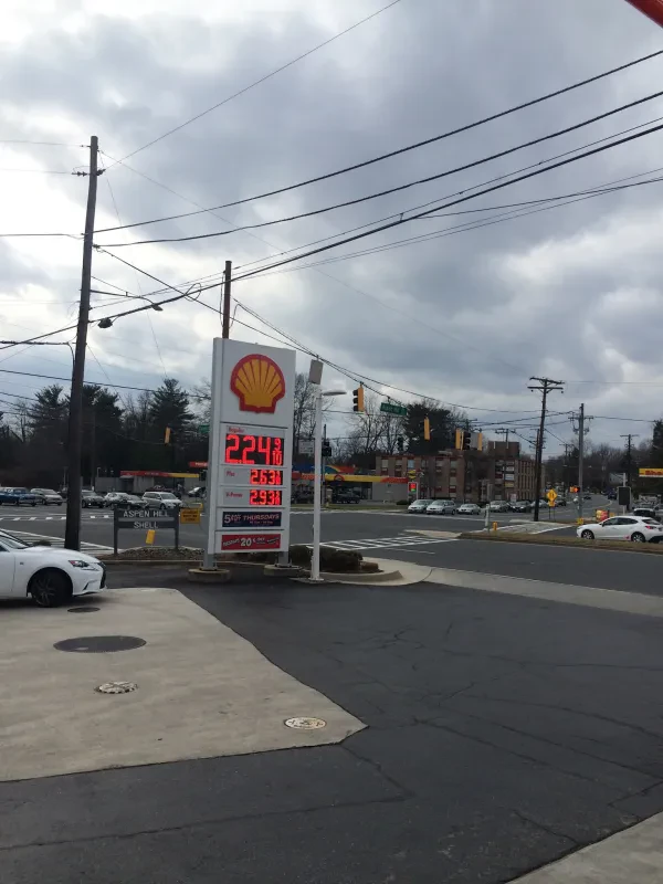 Shell - photo 4