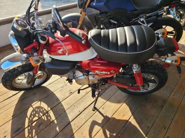 Honda of Rarden - photo 4
