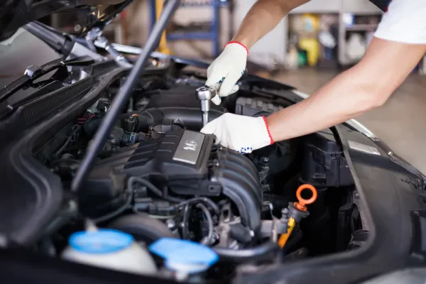 770 Auto service - photo 3