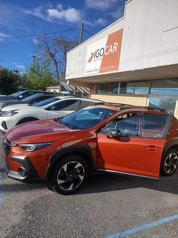 IGOCAR LLC - photo 4