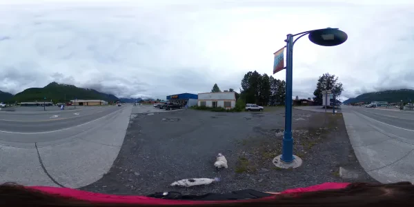 NAPA Auto Parts - Copper River Auto Parts - photo 4