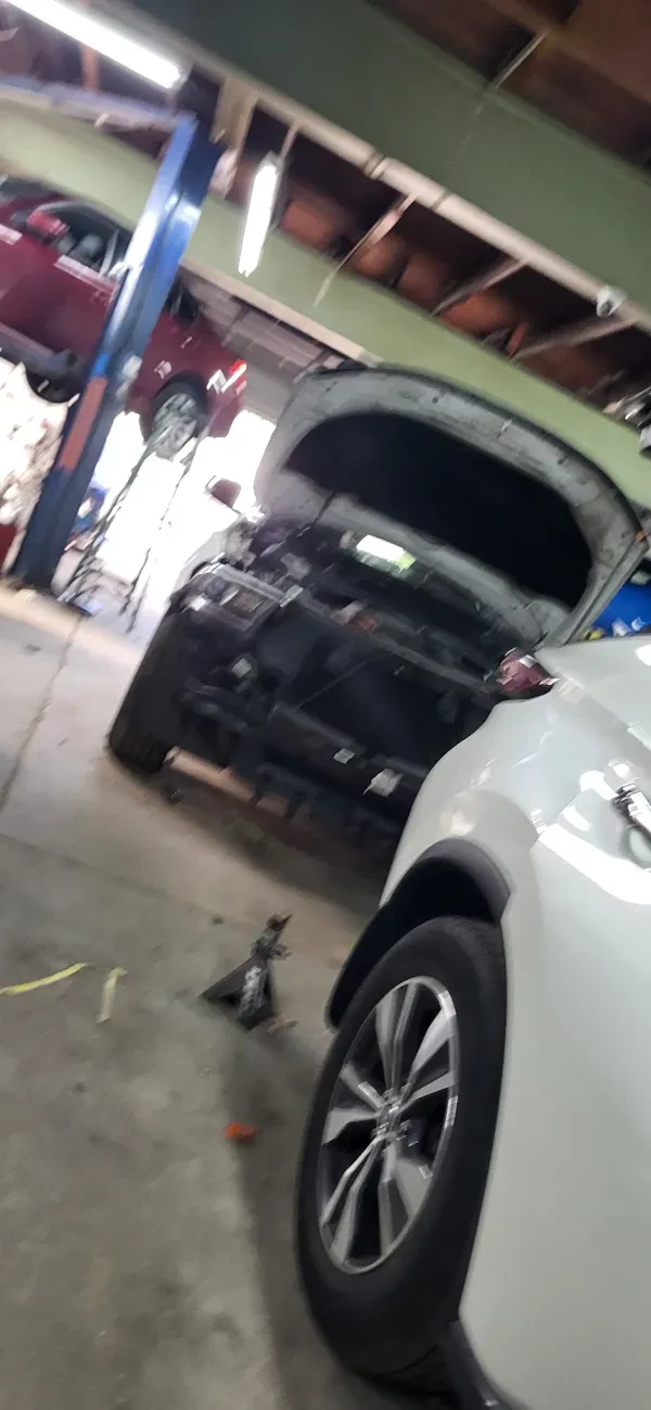 Ecua Auto Collision & Repair - photo 4