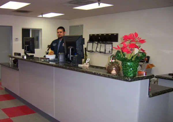 Pacific Auto Zone - photo 3