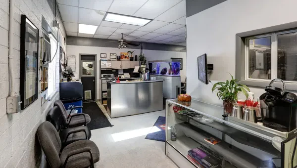 Hon-man Auto Care - photo 2