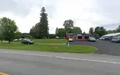 Lizards to Limo