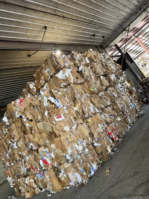 Recycling Services of Florida "RSF" - Clearwater - photo 4