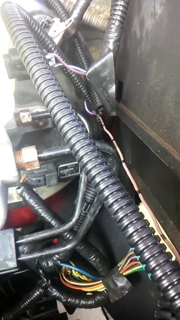 Arellano Automotive - photo 2