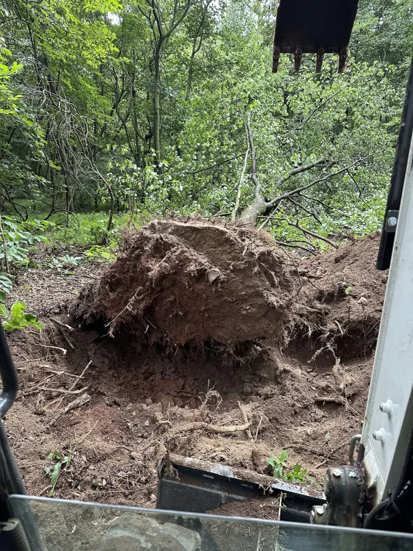 Weee Weee Dump LLC - photo 2