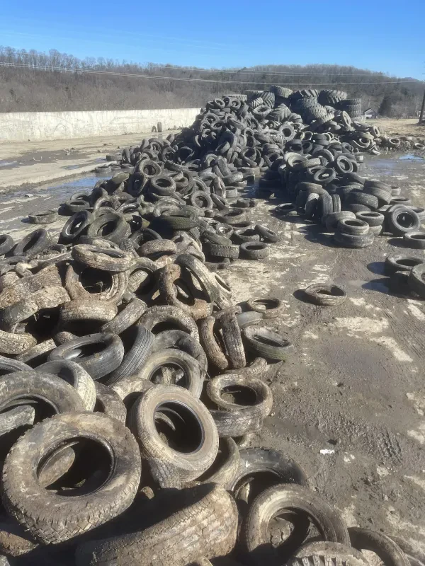 Weee Weee Dump LLC - photo 4