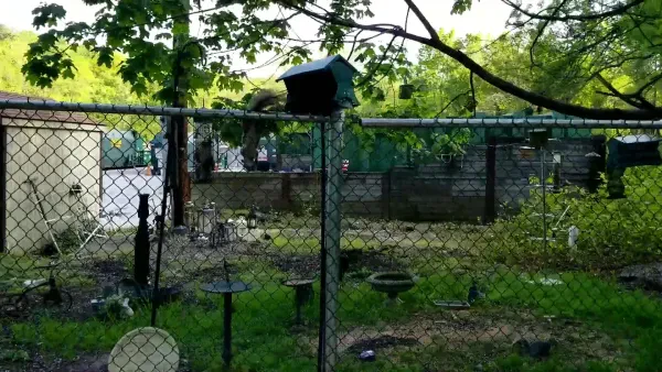 Morristown Recycling Center - photo 4