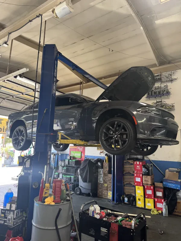 Playa Vista Automotive - photo 4