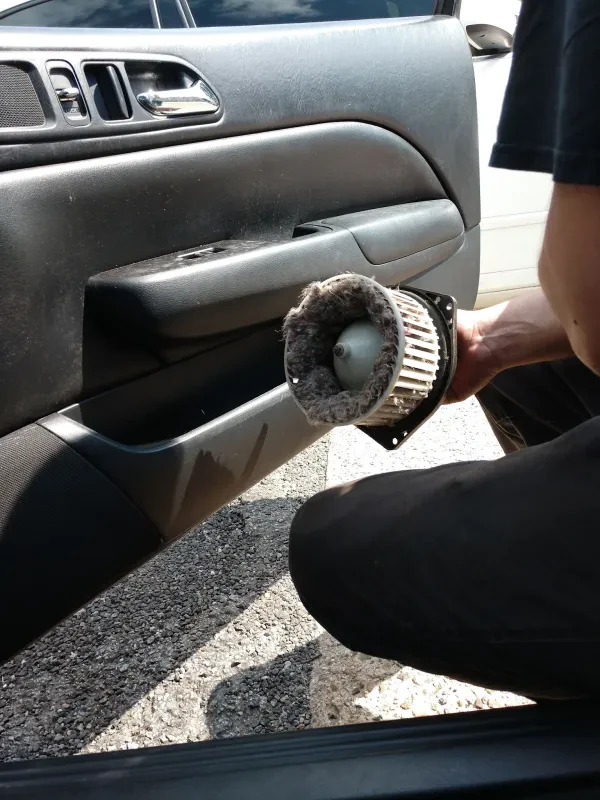 Pro Automotive Of NJ LLC - photo 3