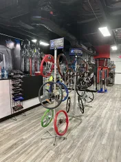 Shark Chrome Shop