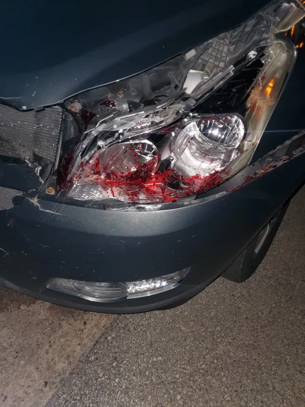 Amore's Towing & Auto Service - photo 3