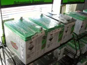 Interstate Batteries System of Western Massachusetts
