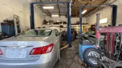 Ulmerton & Starkey Automotive