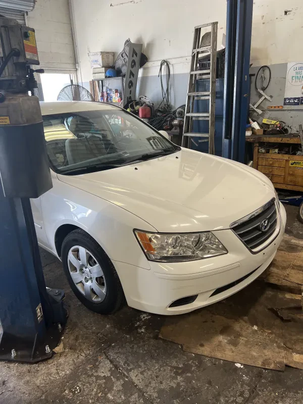 Ulmerton & Starkey Automotive - photo 2