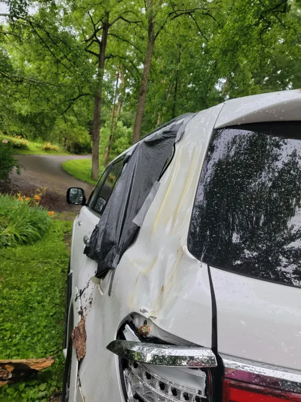 Auto Collision Experts, LLC - photo 4