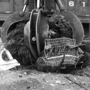 LMS Metal Buyers