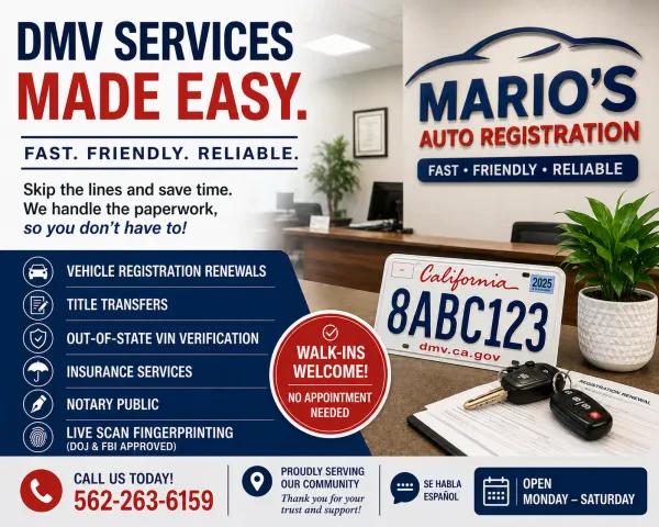 Mario's Auto Registration - photo 2