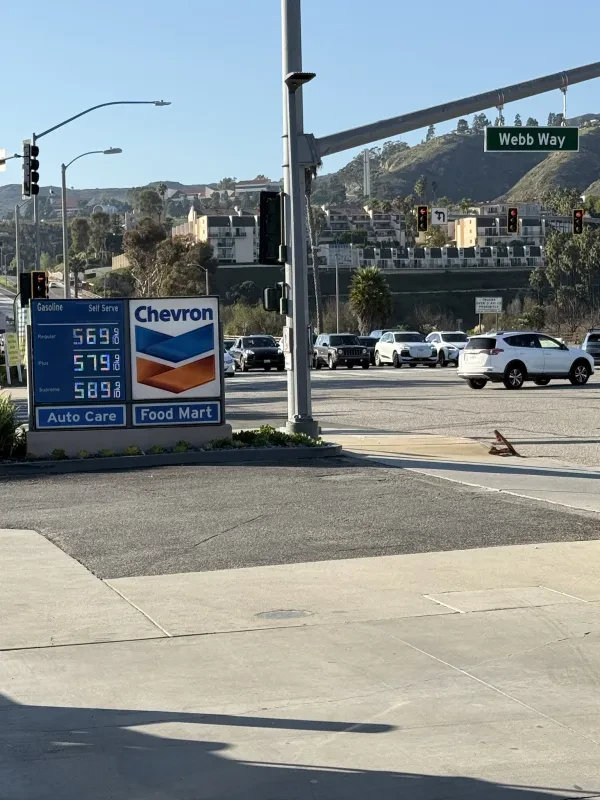 Chevron - photo 2