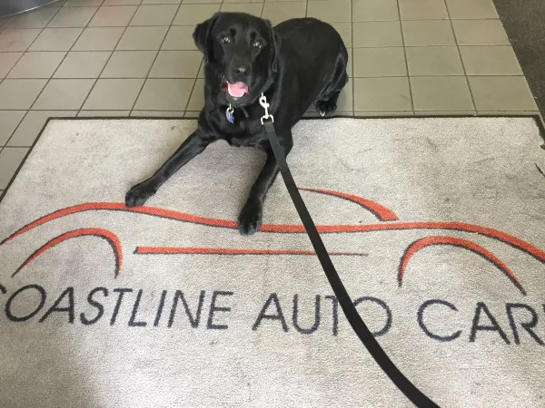 Coastline Auto Care - photo 4