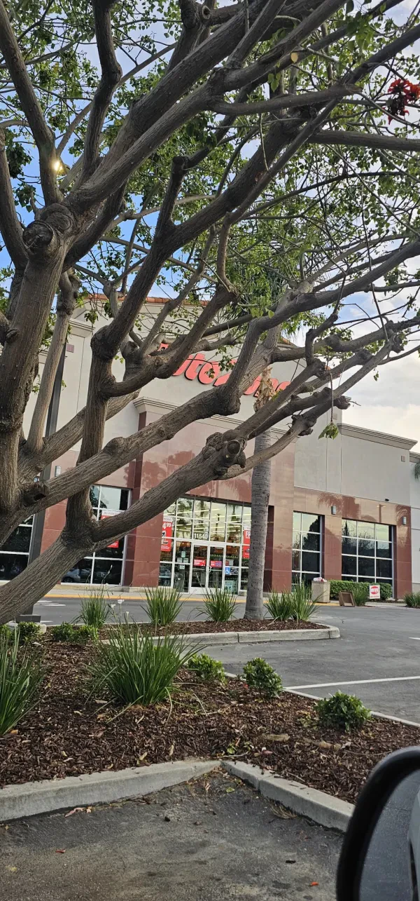 AutoZone Auto Parts - photo 4