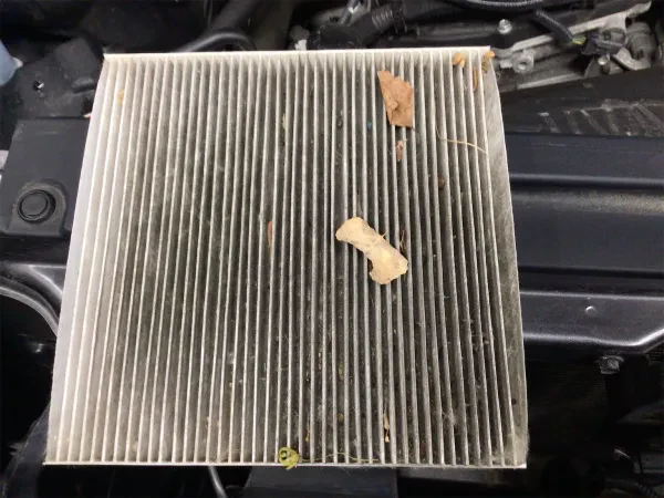 Mendota Heights Auto Service - photo 4