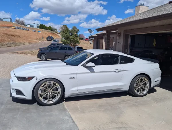 Need 4 Speed Motorsports - photo 2